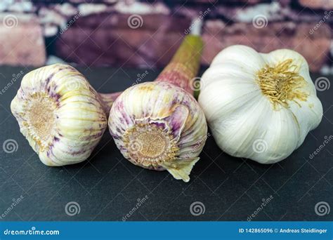 Aglio (Allium Sativum), Un Bulbo Culinario E Medicinale